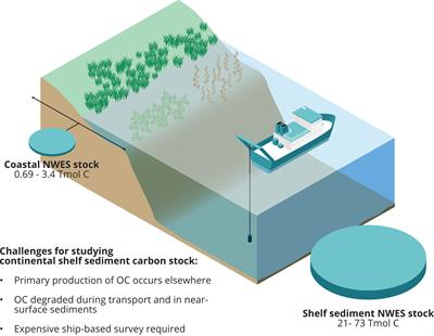 Frontiers | Sedimentary carbon on the continental shelf: Emerging